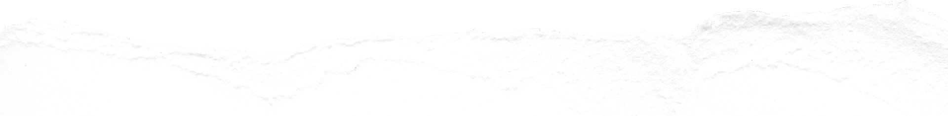 Blog Rips