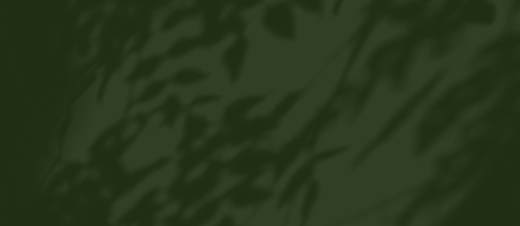 Tcg Background